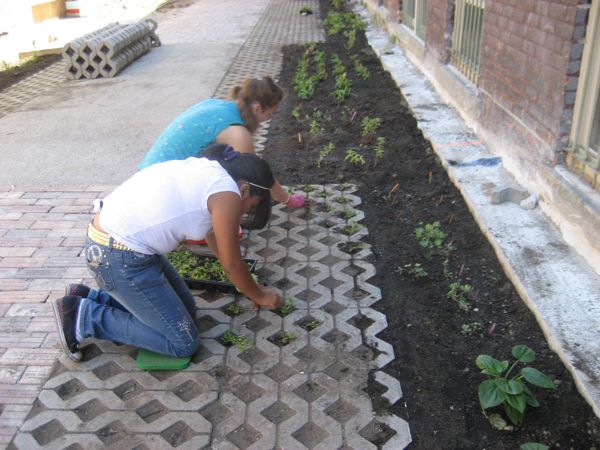 File:Planting pavers girls.jpg