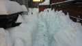 Backyard.snow.jpg