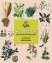 Plants.jpg